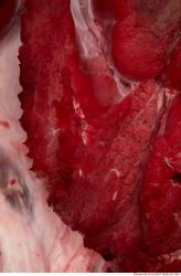 Photo Textures of RAW Pork Meat